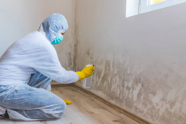 Mold Remediation specialist working in Church Creek